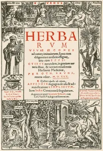 herbarum vivae eicones title page 16th century