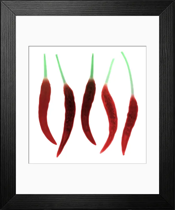 Framed Print : Chili Peppers, X-ray Framed Print : Chili Peppers, X-ray