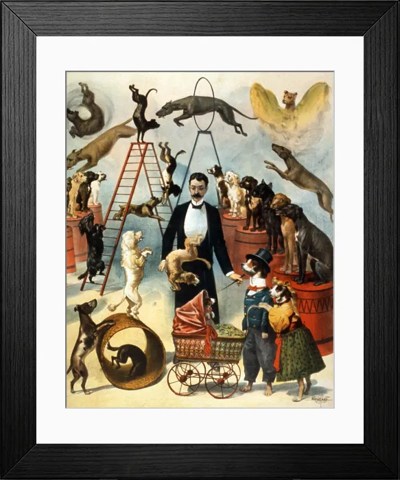 Framed Print : Circus Dog Act, 1899 Framed Print : Circus Dog Act, 1899