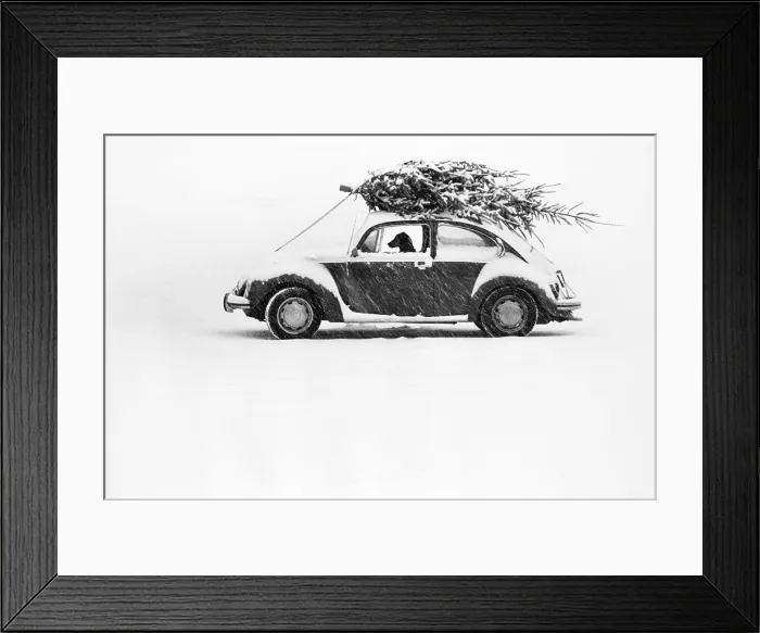 Framed Print : Dog in Car Framed Print : Dog in Car