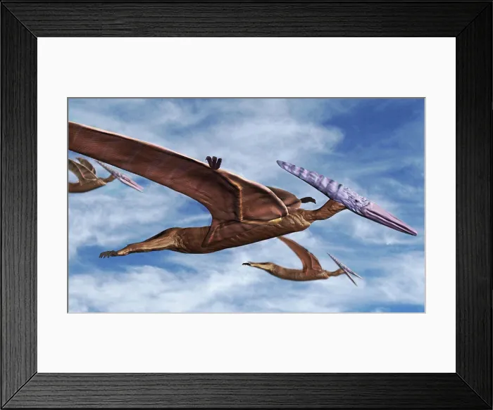 Framed Print : Pterodactyls in Flight Framed Print : Pterodactyls in Flight