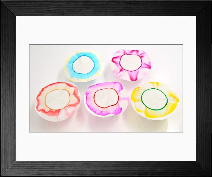 Framed Print : Chromatography Flowers