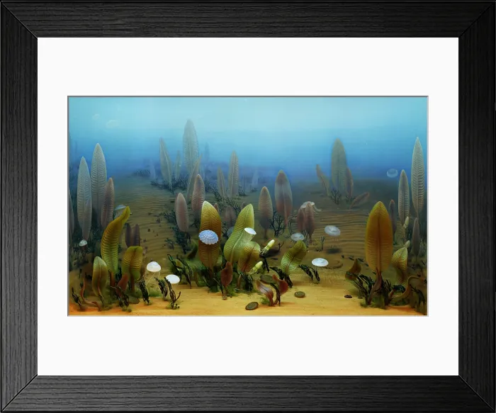 Framed Print : Vendian marine life Framed Print : Vendian marine life