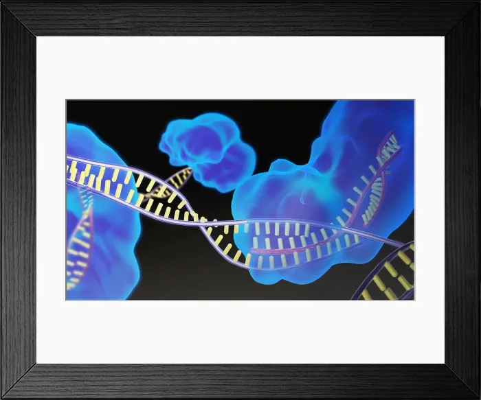 Framed Print : CRISPR, Illustration