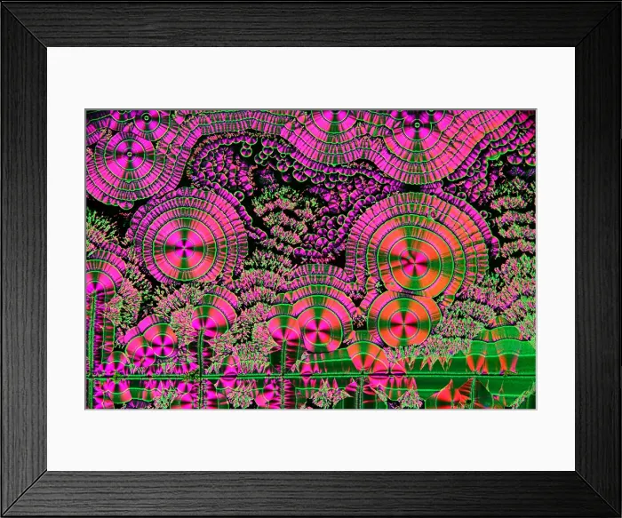 Framed Print : Vitamin C Crystals, Spikeberg Illumination Framed Print : Vitamin C Crystals, Spikeberg Illumination