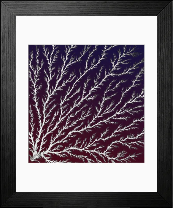 Framed Print : Electron Tree or Lichtenberg Figure Framed Print : Electron Tree or Lichtenberg Figure