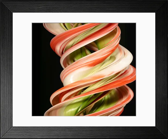 Framed Print : Digital streak image of amaryllis flowers Framed Print : Digital streak image of amaryllis flowers