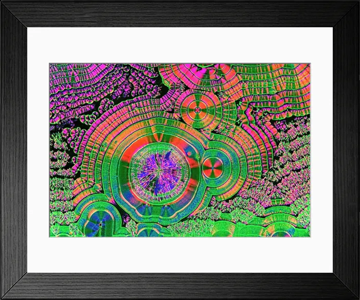 Framed Print : Vitamin C Crystals, light micrograph Framed Print : Vitamin C Crystals, light micrograph