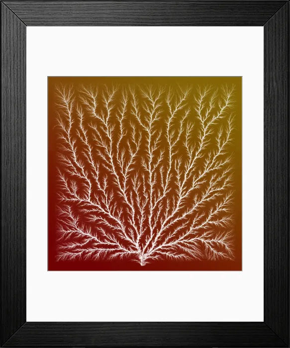Framed Print : Electron Tree or Lichtenberg Figure Framed Print : Electron Tree or Lichtenberg Figure