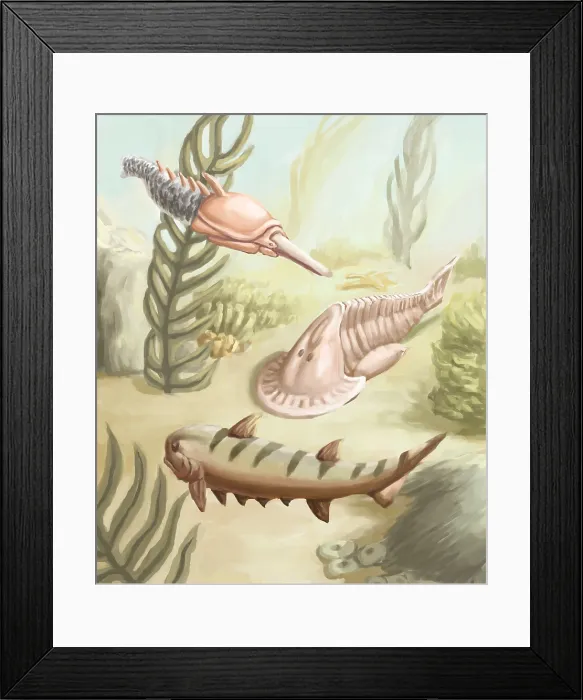 Framed Print : Ostracoderms and Placoderms Framed Print : Ostracoderms and Placoderms