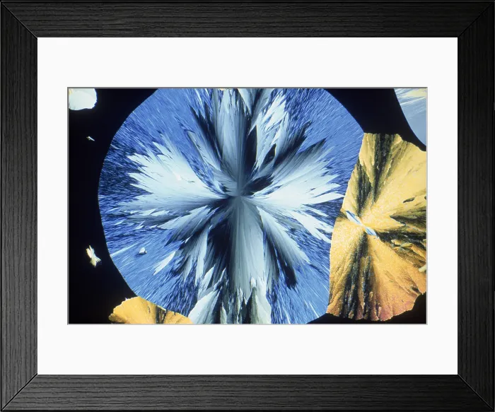 Framed Print : Vanillin Crystals Framed Print : Vanillin Crystals