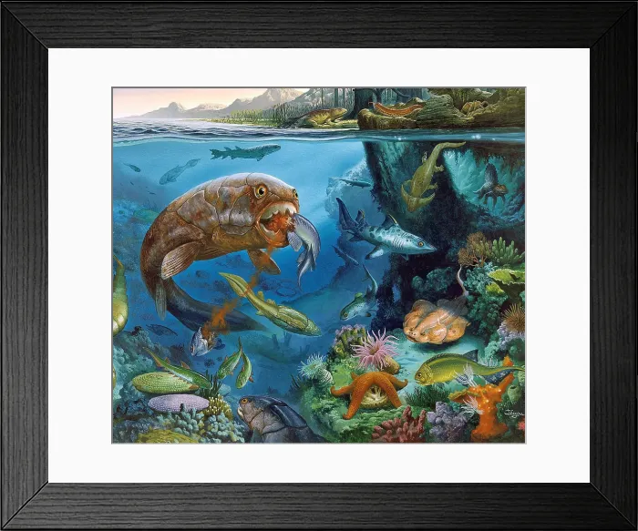 Framed Print : Paleozoic Marine Animals