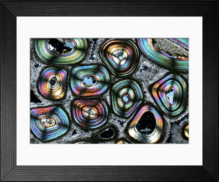 Framed Print : Karlsbad Sprudelstein, light micrograph Framed Print : Karlsbad Sprudelstein, light micrograph