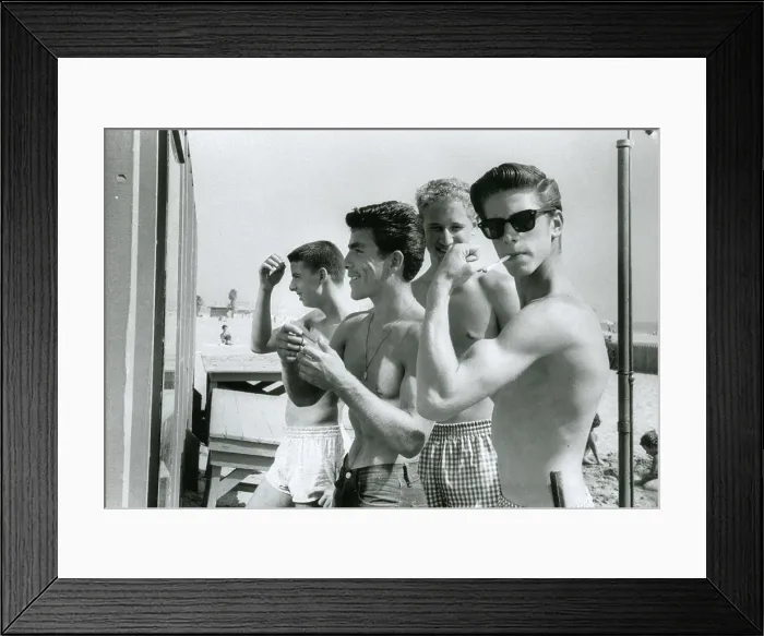 Framed Print : We're the coolest cats around! Framed Print : We're the coolest cats around!