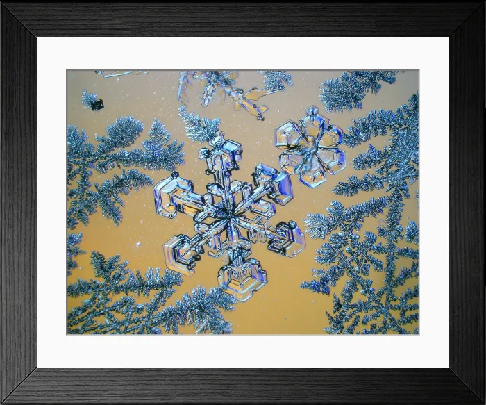 Framed Print : Snowflake under a microscope Framed Print : Snowflake under a microscope
