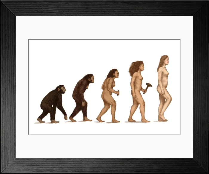 Framed Print : Human Evolution Framed Print : Human Evolution