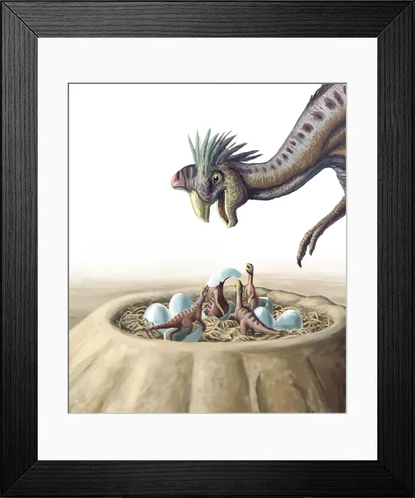Framed Print : Oviraptor and Nest