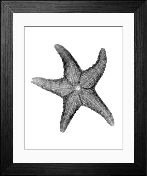Framed Print : X-ray of Starfish