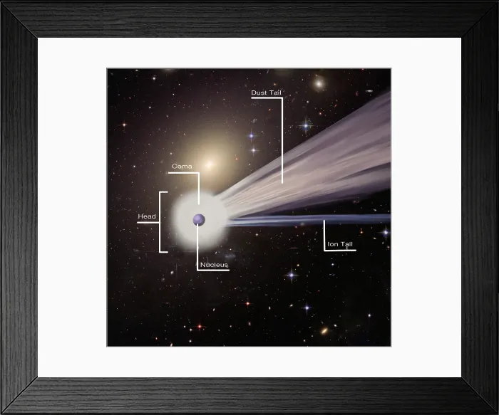 Framed Print : Comet with Parts Labeled