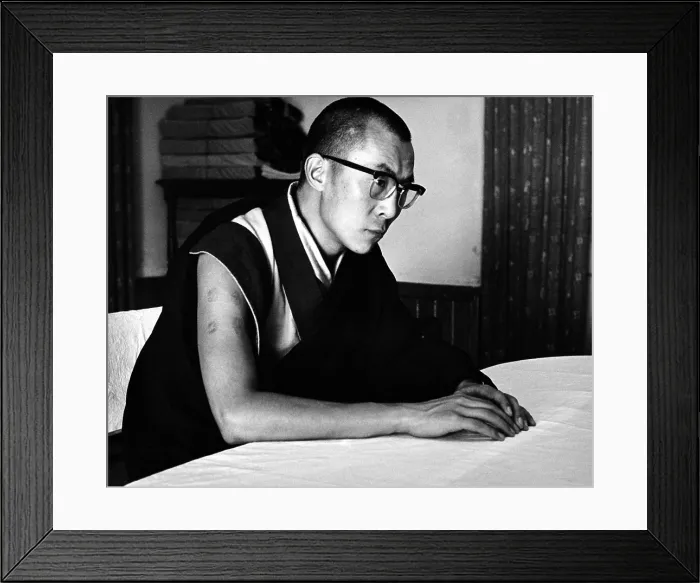 Framed Print : The Dalai Lama Framed Print : The Dalai Lama