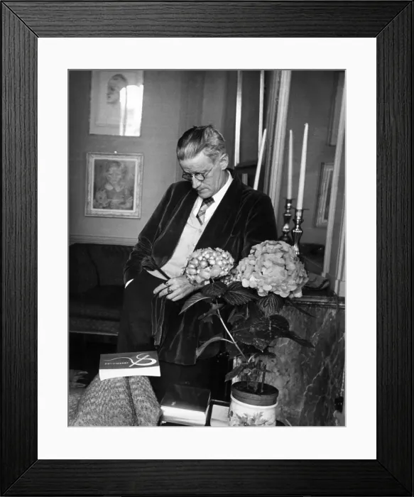 Framed Print : James Joyce, Irish Modernist Writer, 1938 Framed Print : James Joyce, Irish Modernist Writer, 1938
