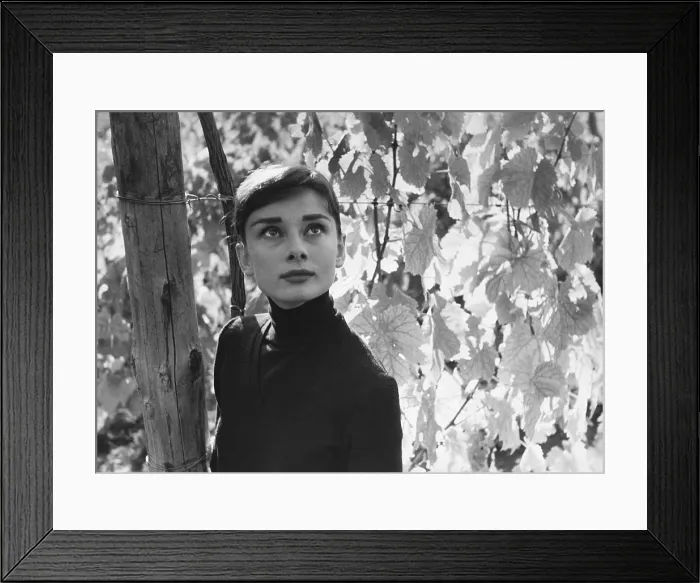 Framed Print : Audrey Hepburn, British Actress Framed Print : Audrey Hepburn, British Actress
