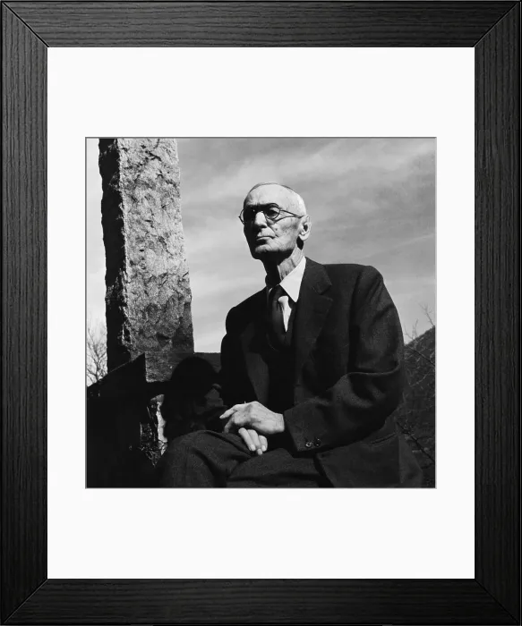 Framed Print : Hermann Hesse Framed Print : Hermann Hesse