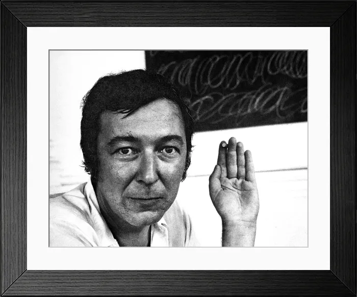 Framed Print : Jasper Johns