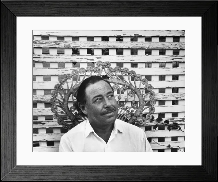 Framed Print : Tennessee Williams, c.1966 Framed Print : Tennessee Williams, c.1966