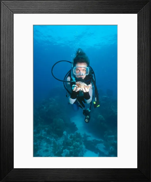 Framed Print : Dr. Sylvia Earle Framed Print : Dr. Sylvia Earle