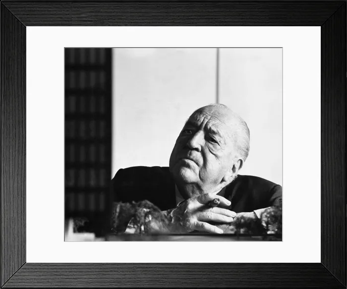 Framed Print : Mies van der Rohe Framed Print : Mies van der Rohe