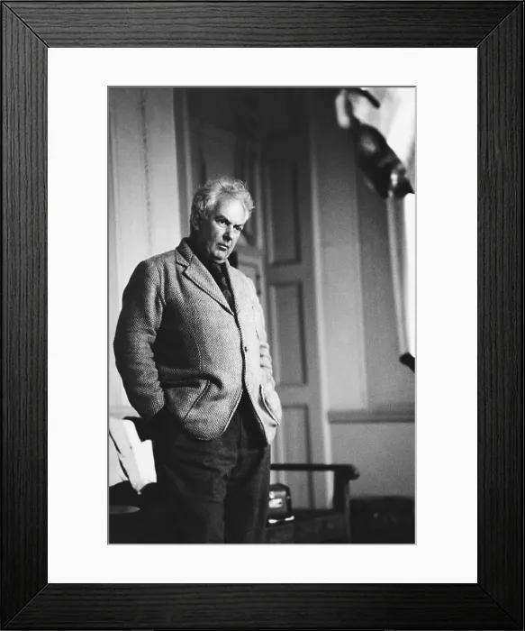 Framed Print : Alexander Calder Framed Print : Alexander Calder