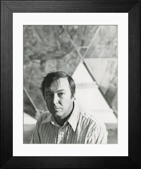 Framed Print : Jasper Johns Framed Print : Jasper Johns