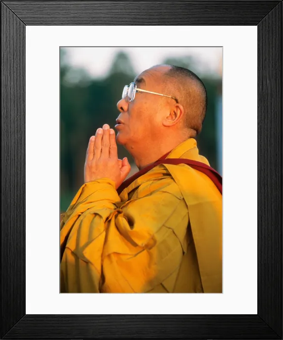 Framed Print : Dalai Lama Framed Print : Dalai Lama