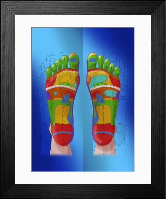 Framed Print : Reflexology, Illustration Framed Print : Reflexology, Illustration