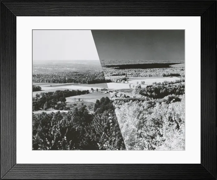Framed Print : Infrared Comparison Framed Print : Infrared Comparison