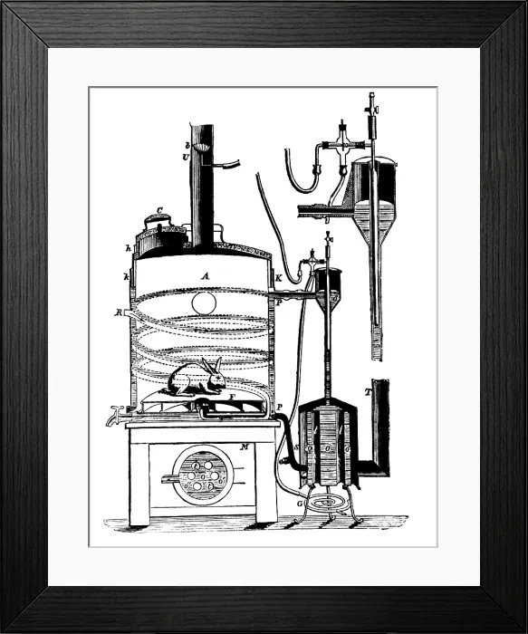 Framed Print : Claude Bernard's Animal Homeostasis Study Framed Print : Claude Bernard's Animal Homeostasis Study