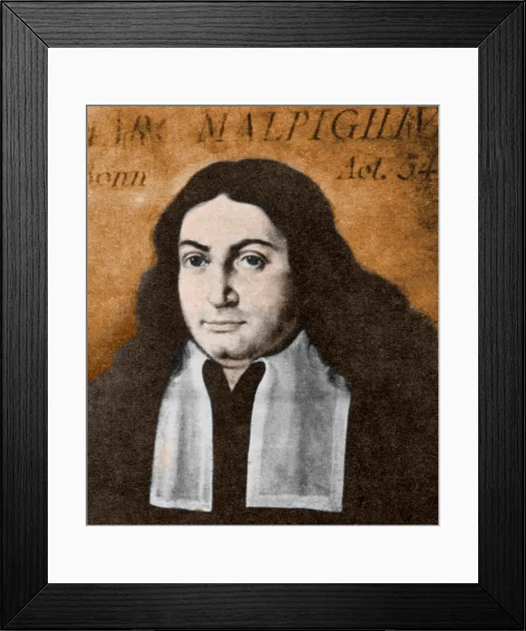 Framed Print : Marcello Malpighi, Italian Biologist and Inventor