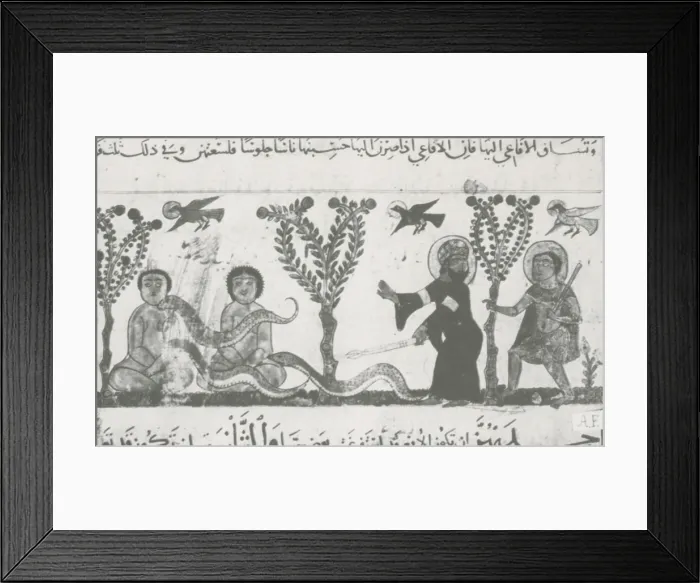 Framed Print : Physician aiding serpent-bitten man, Illustration Framed Print : Physician aiding serpent-bitten man, Illustration