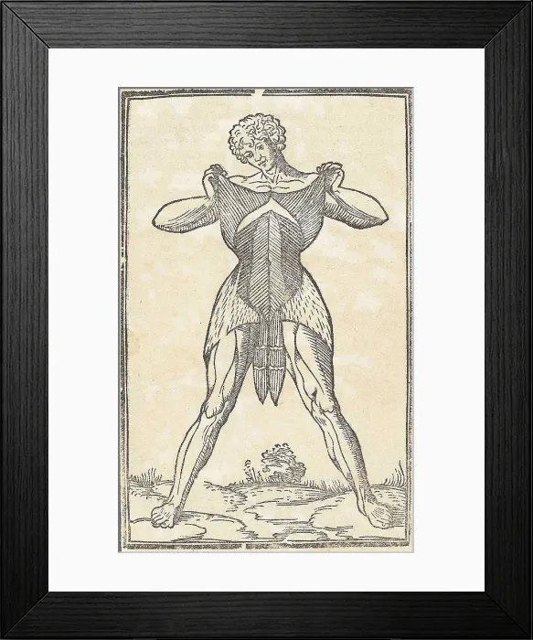 Framed Print : Jacopo Berengario da Carpi, Anatomy Framed Print : Jacopo Berengario da Carpi, Anatomy