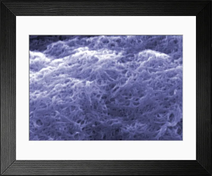 Framed Print : Carbon Nanotubes, under a microscope (SEM) Framed Print : Carbon Nanotubes, under a microscope (SEM)