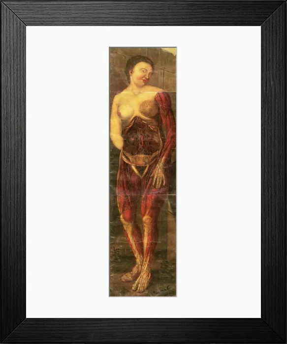 Framed Print : Anatomie Generale Des Visceres Framed Print : Anatomie Generale Des Visceres