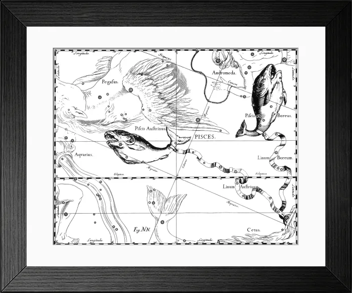 Framed Print : Pisces Constellation, Zodiac Sign, Hevelius Framed Print : Pisces Constellation, Zodiac Sign, Hevelius