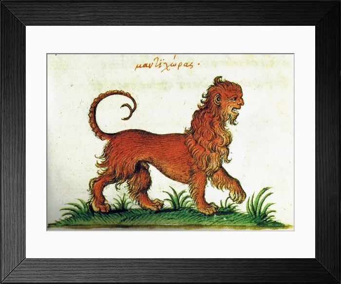 Framed Print : Manticore, Legendary Creature