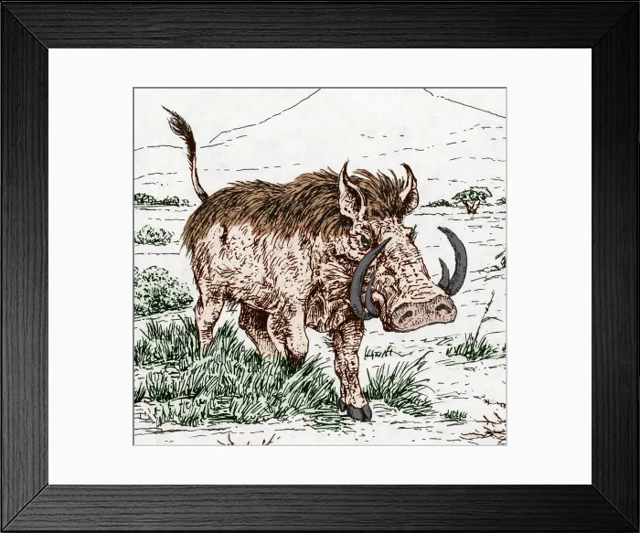 Framed Print : Genus Notochoerus, Suidae Family Framed Print : Genus Notochoerus, Suidae Family