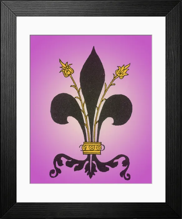 Framed Print : Fleur-de-Lis Framed Print : Fleur-de-Lis