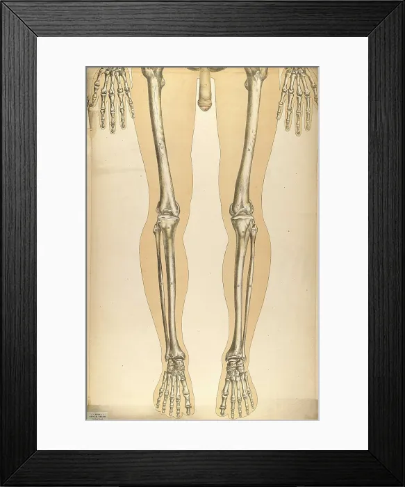Framed Print : Julien Bougle, Le corps humain, 1899 Framed Print : Julien Bougle, Le corps humain, 1899