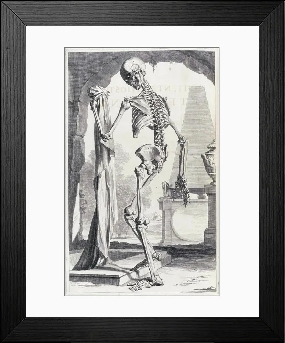 Framed Print : Anatomia humani corporis, Table 88, 1690