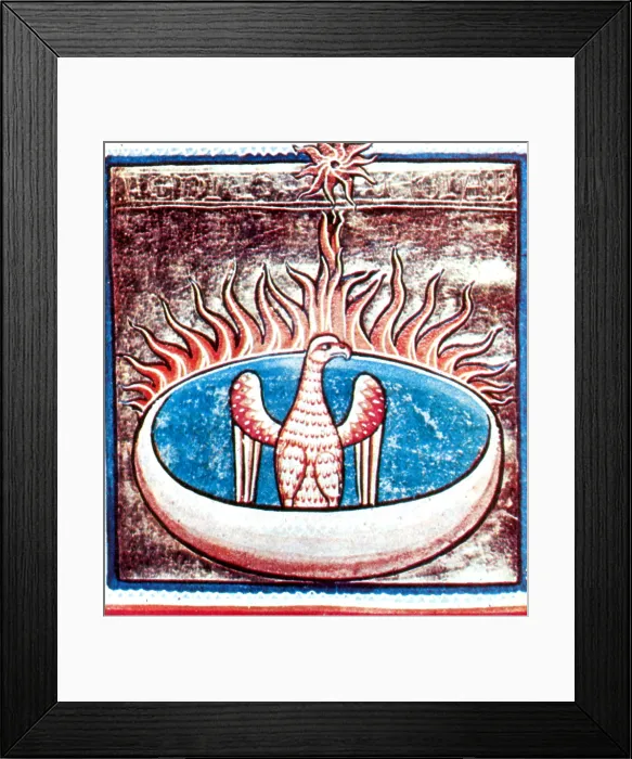 Framed Print : Phoenix, Legendary Creature Framed Print : Phoenix, Legendary Creature