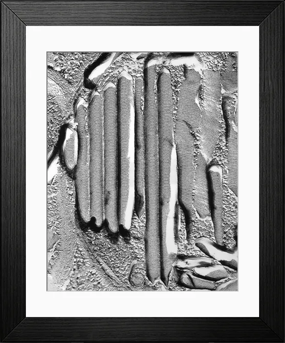 Framed Print : Thylakoid. Freeze fracture transmission electron micrograph of the inside Framed Print : Thylakoid. Freeze fracture transmission electron micrograph of the inside